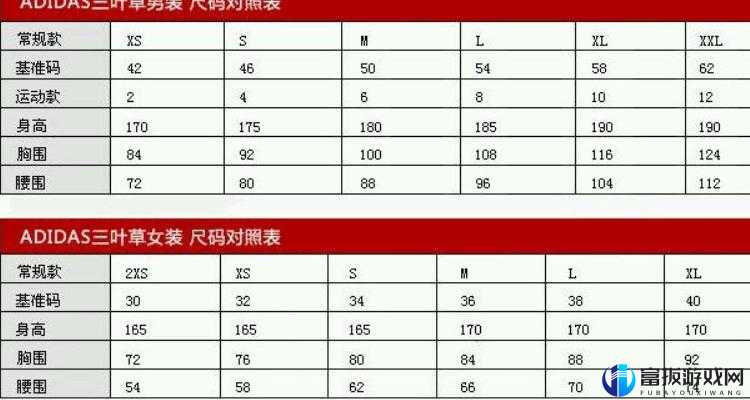 三叶草 M 码和欧洲码对比：码数选择不再纠结