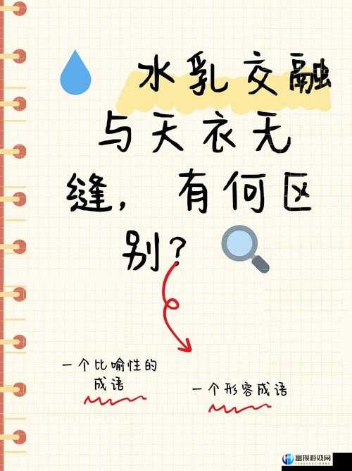 水乳交融天衣无缝的区别：深度解析对比