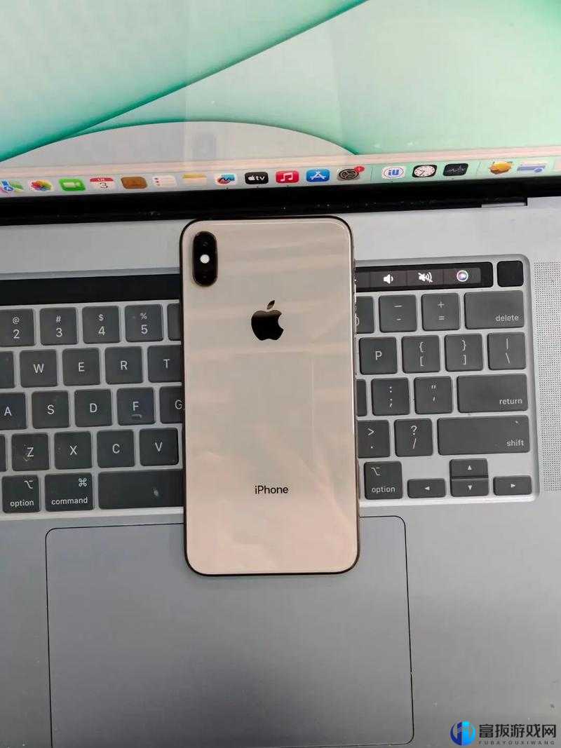 欧美 iPhone XS Max 视频：精彩瞬间全记录